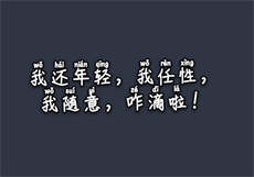 pr18九天 狐狸
